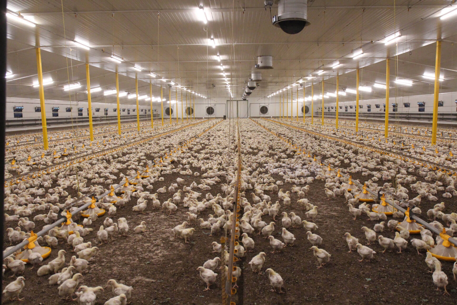 O N s AGROFERT A s O N s AGROFERT A s