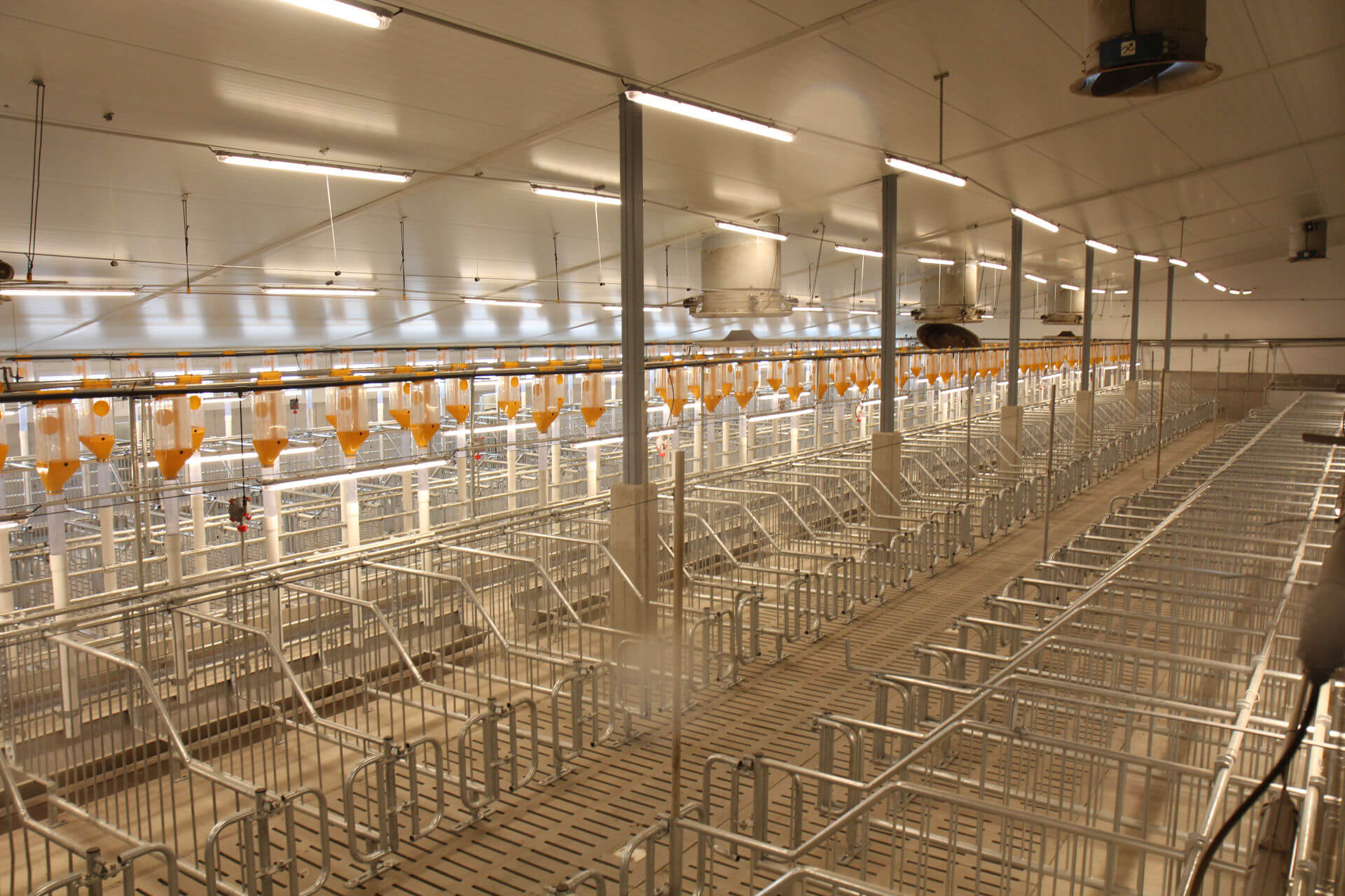 O N s AGROFERT A s O N s AGROFERT A s